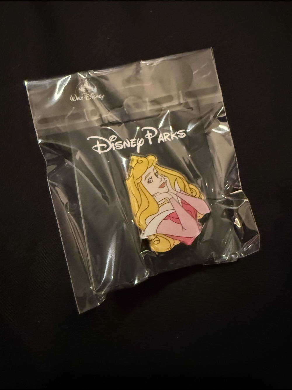 🌟Pick Any 3/$20 Sale Aurora Pin